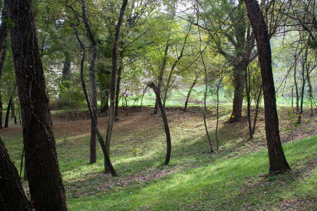Agriturismo Biologico Villa Rosa Monte Guiduccio المظهر الخارجي الصورة