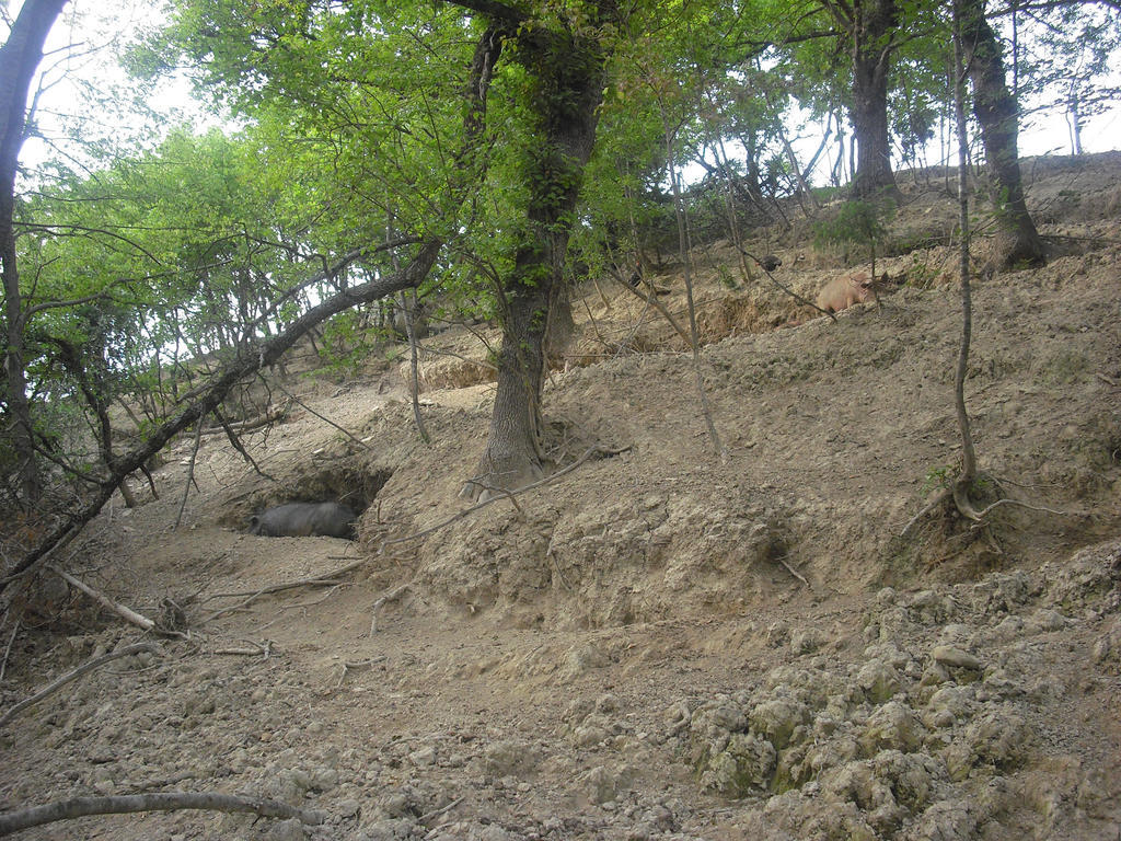 Agriturismo Biologico Villa Rosa Monte Guiduccio المظهر الخارجي الصورة